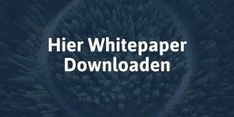 Whitepaper Zukunft Kreislaufwirtschaft Circular Business Models Download